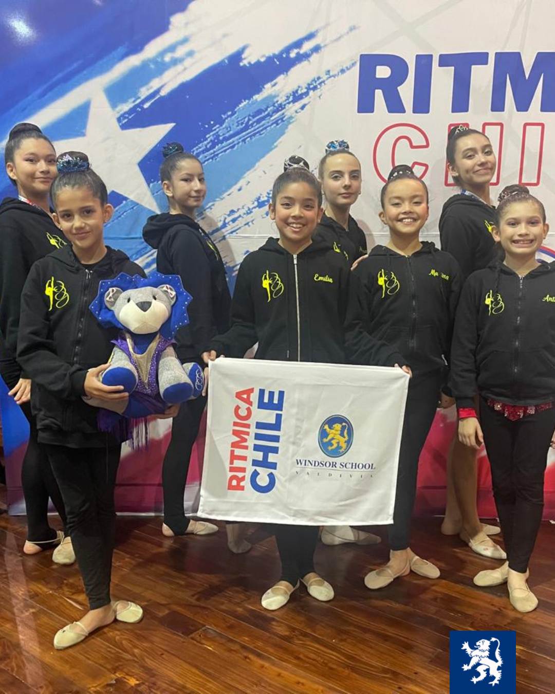 Primer Control Zona Sur de Gimnasia Rítmica Primer Control Zona Sur de Gimnasia Rítmica