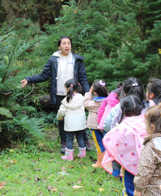 Windsorinos de Preescolar exploraron el Jardín Botánico de la UACh