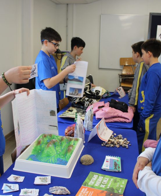 Estudiantes de 6° básico expusieron en muestra sobre el patrimonio natural de Chile