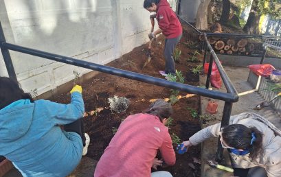 Patio de Enseñanza Media suma un nuevo núcleo nativo